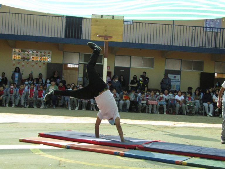 Muestra Educación Física