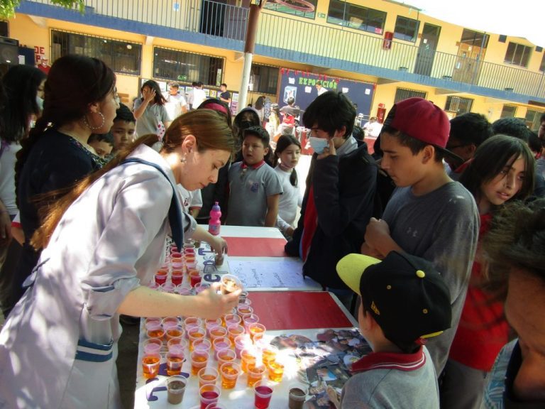 Muestra de Talleres