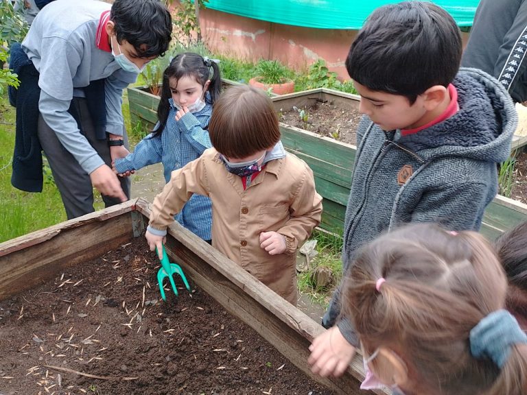 NT1 y taller de almácigos