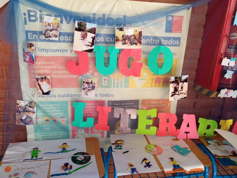 Actividad Plan Lector II
