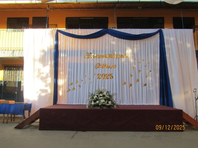Licenciatura 8vo – 2025