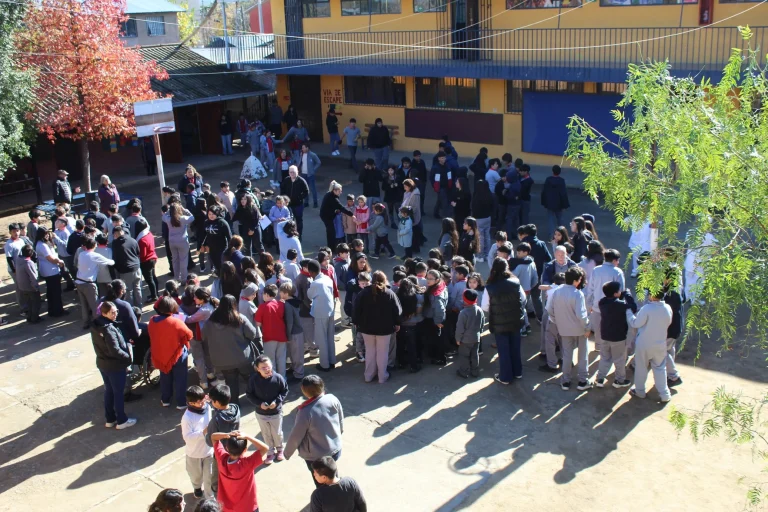 Simulacro terremoto